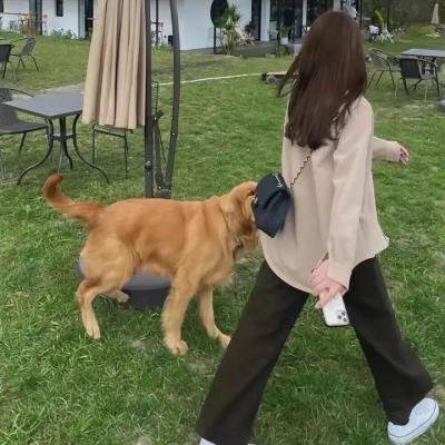体育皇后